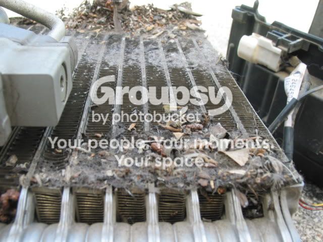 IMG_7807.jpg~original