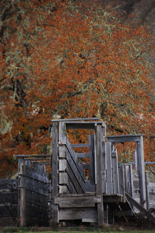 DSC_0586-XL.jpg