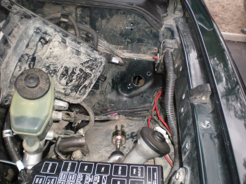 35458838940_8f891c477f_b.jpg