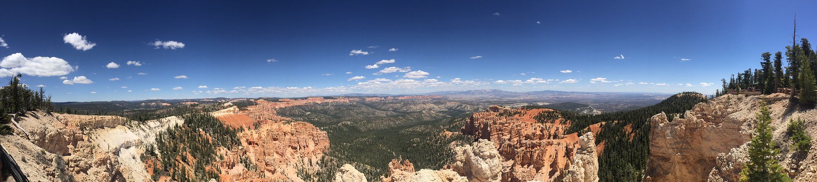 46997295531_7cf105ed38_h.jpg