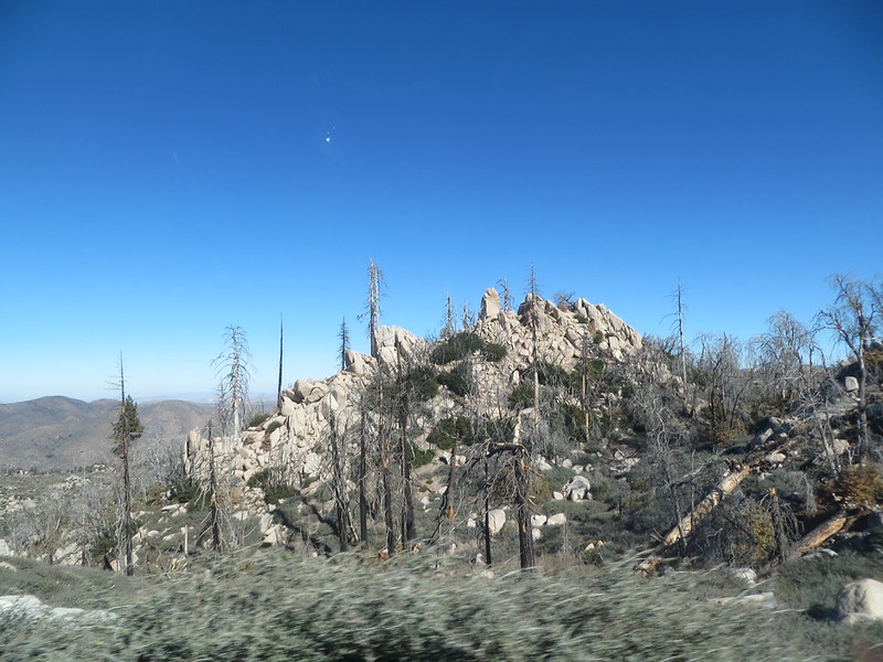 23076925561_5c6768f4f0_c.jpg