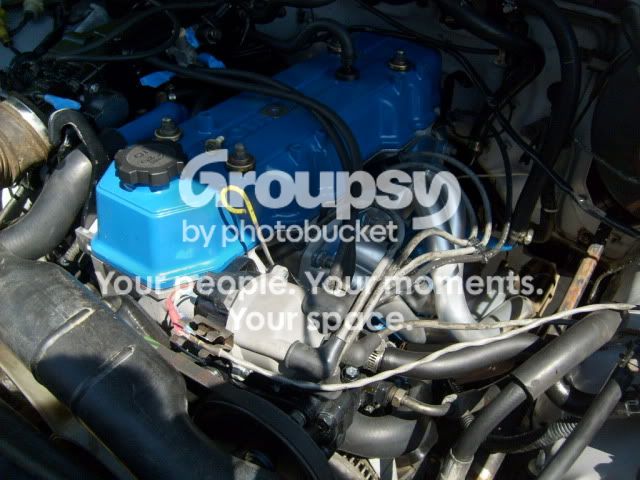 S6300425.jpg~original