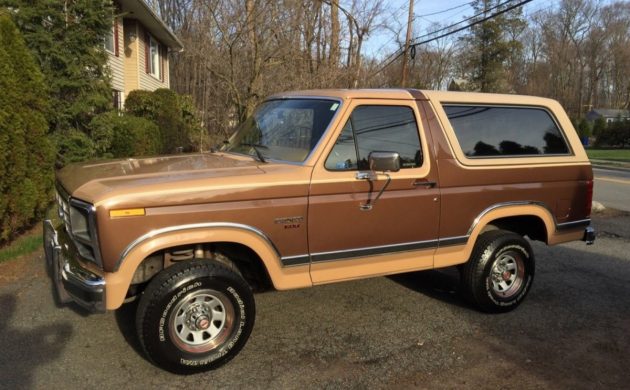 bronco-1-630x390.jpg