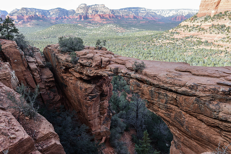 p142645568-4.jpg