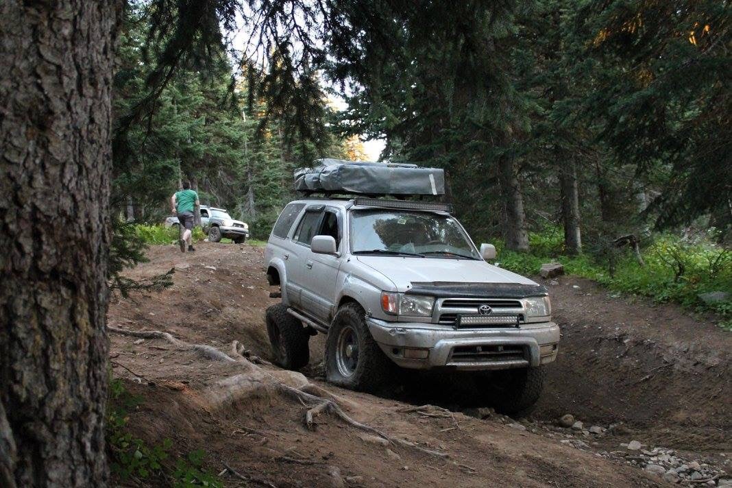 6cb36bf5bf44577b9116b49fde1d1369.jpg