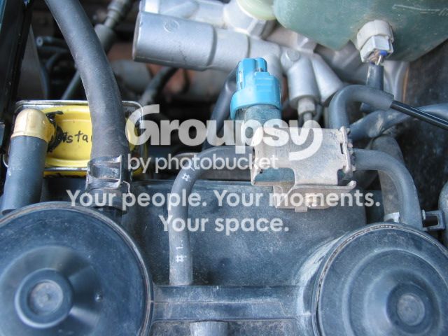 IMG_0464_zpsa225ca87.jpg~original
