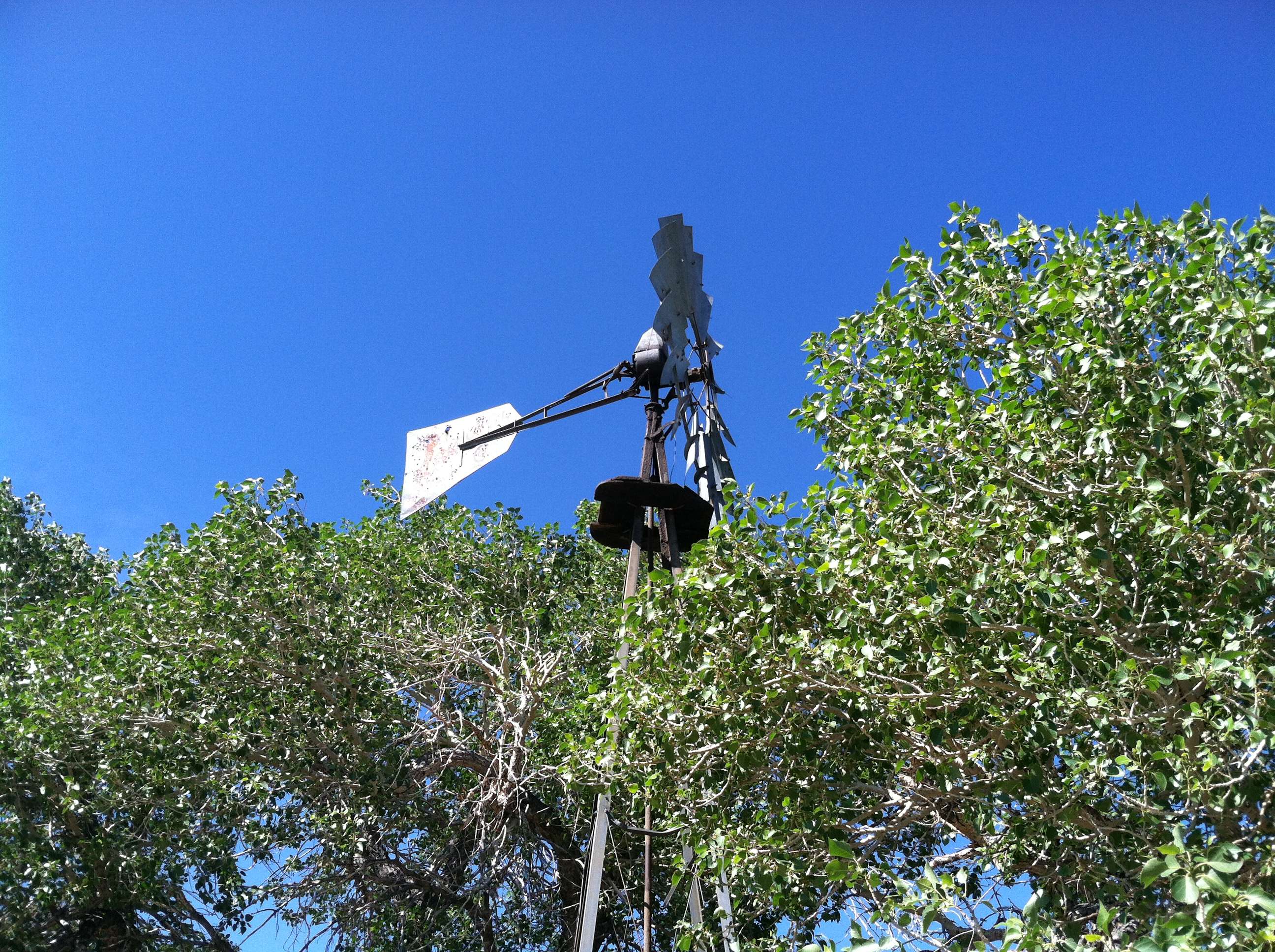 img3222dn.jpg