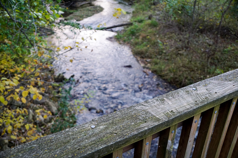 43801245670_35fa0f3631_c.jpg