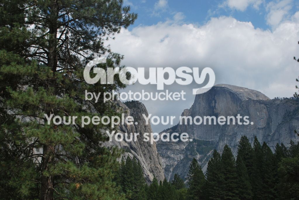 DSC_01313.jpg~original