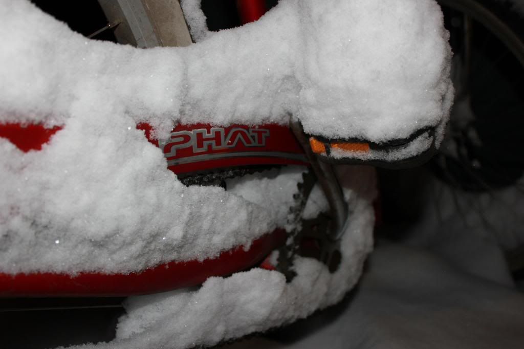 Winter2012021.jpg~original