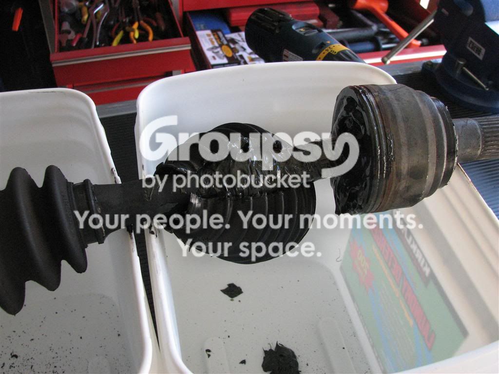 IMG_9292Medium.jpg~original