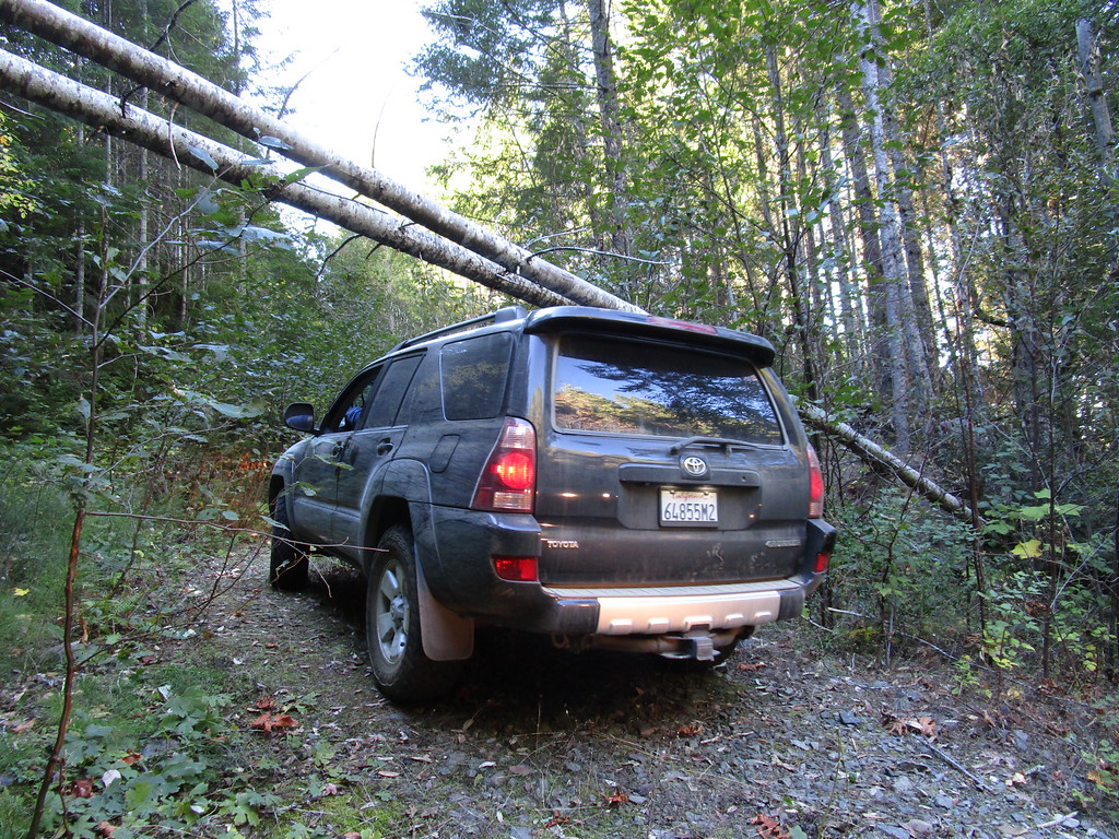IMG_2752-XL.jpg