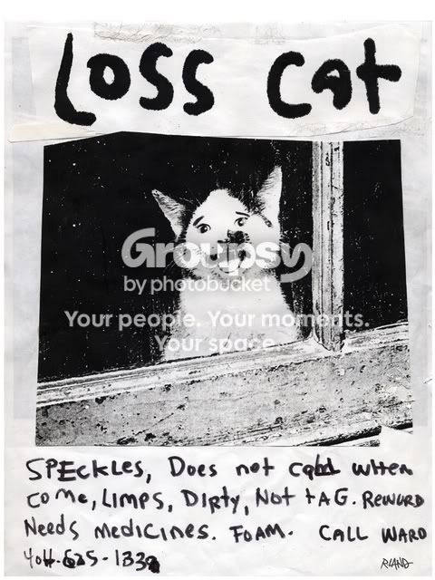 losscat_zps9e083335.jpg~original