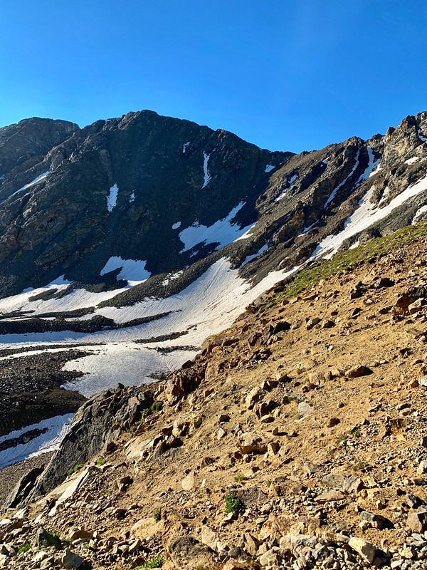 48520103071_4974fe77e1_c.jpg