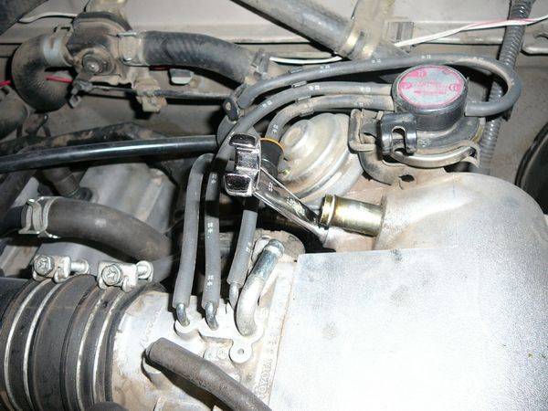 EGR3-sm.JPG
