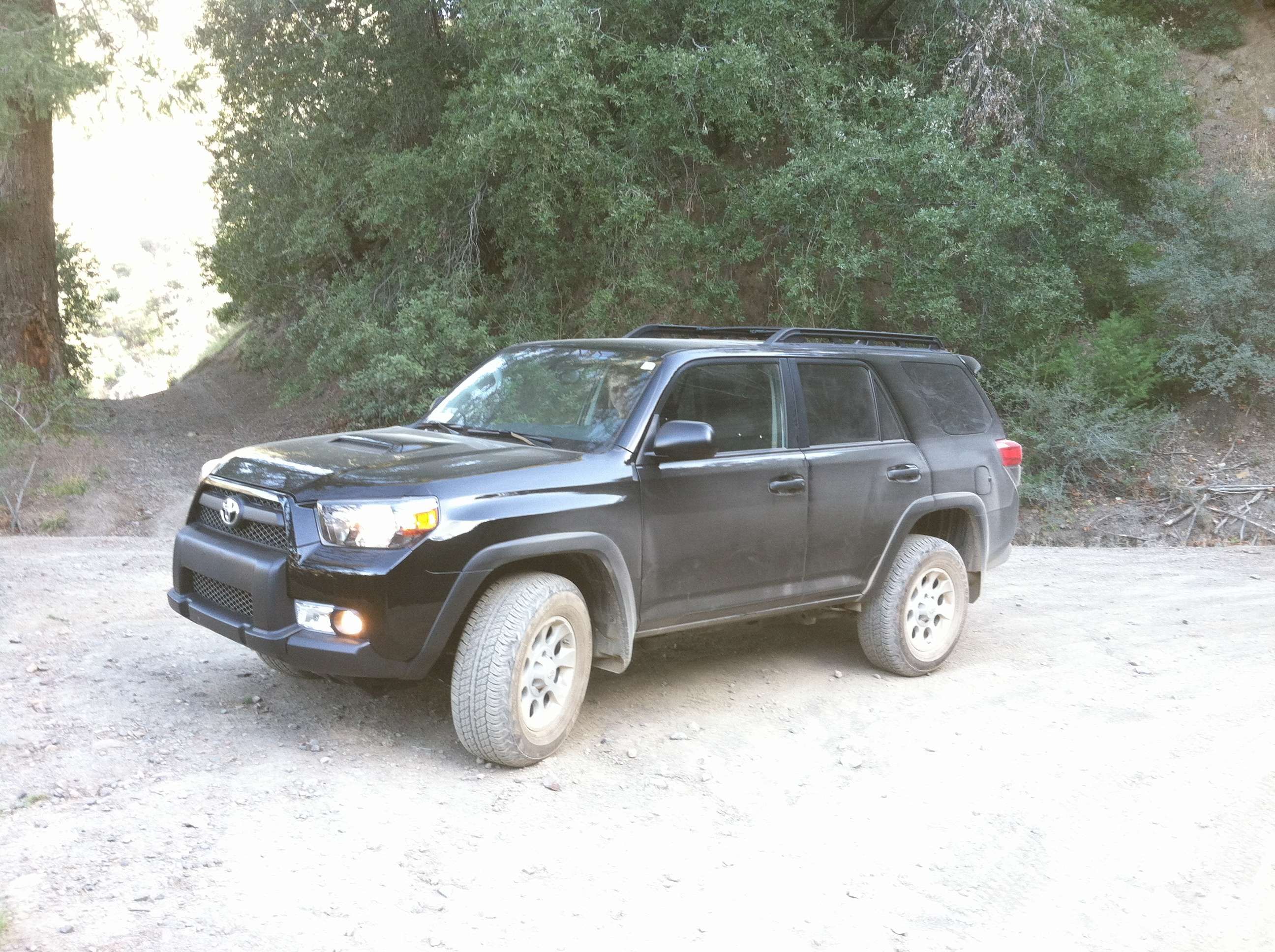 img0325bi.jpg