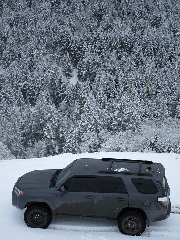 IMG_0127-XL.jpg