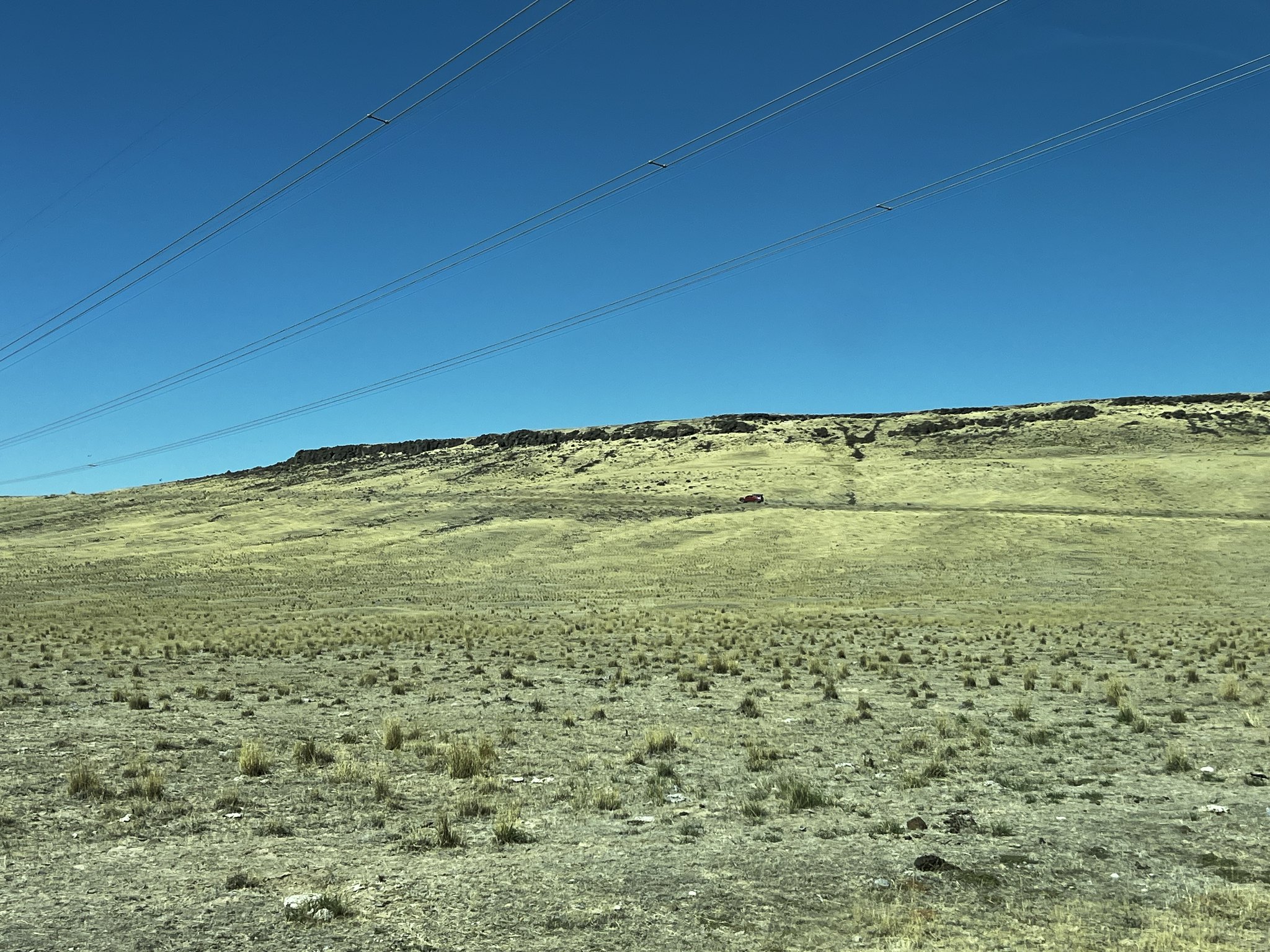 53226715520_2316cff28a_k.jpg