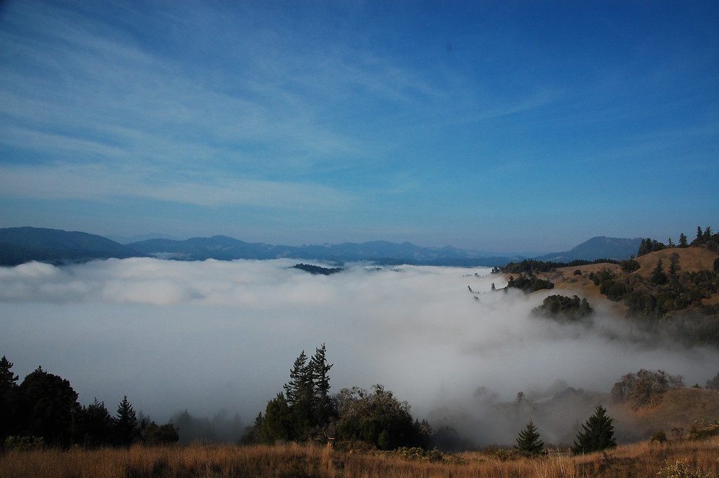 DSC_0005-XL.jpg
