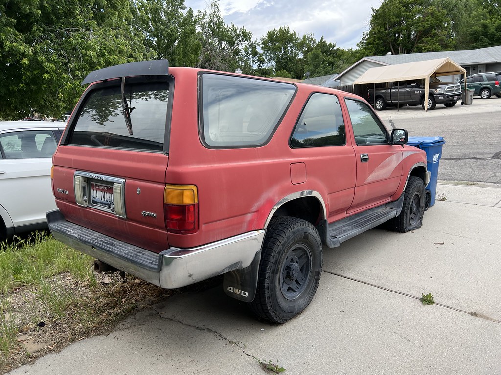 52197337238_54f90e68c5_b.jpg