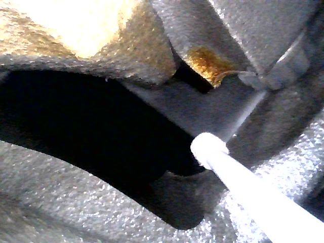 endoscope3.jpg