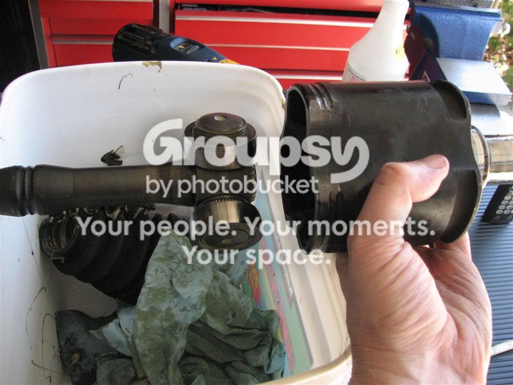 IMG_9294Medium.jpg~original