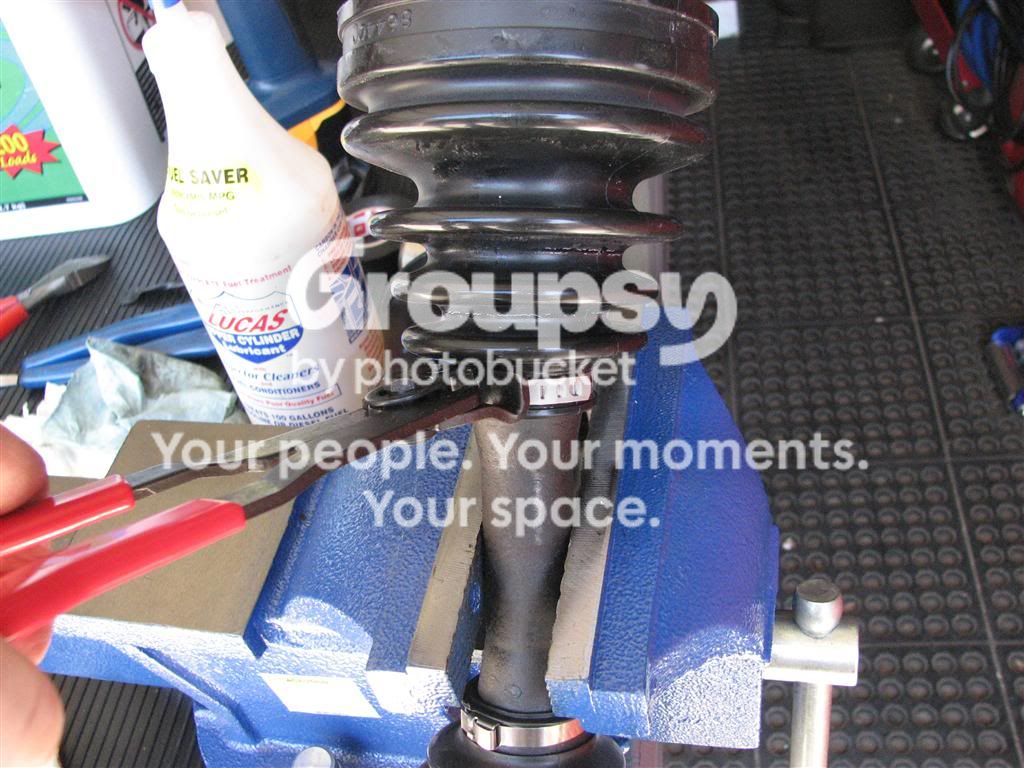 IMG_9305Medium.jpg~original