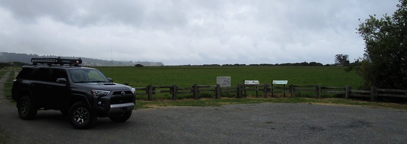 IMG_6452-L.jpg