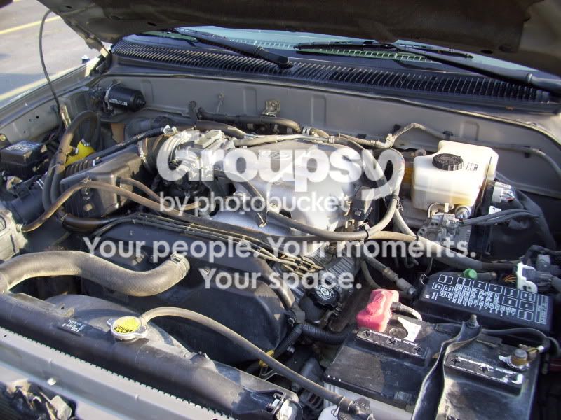 100_0693.jpg~original