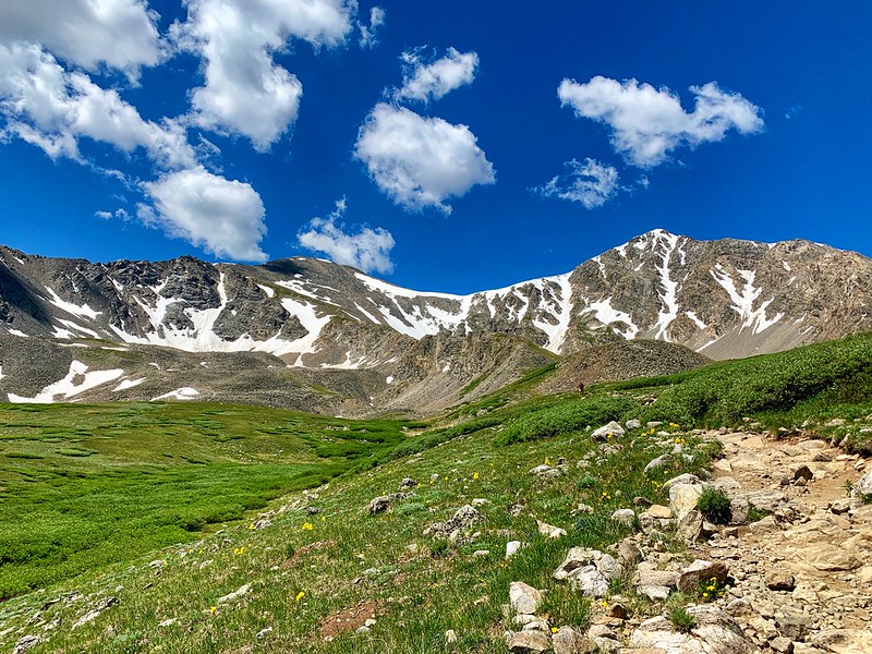 48520779241_aab32b14c5_c.jpg