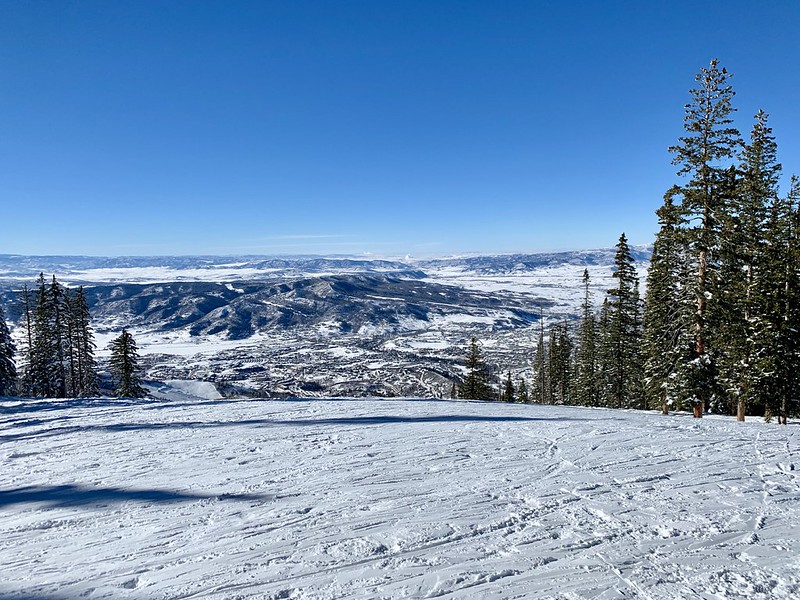 46595170471_f881327c24_c.jpg