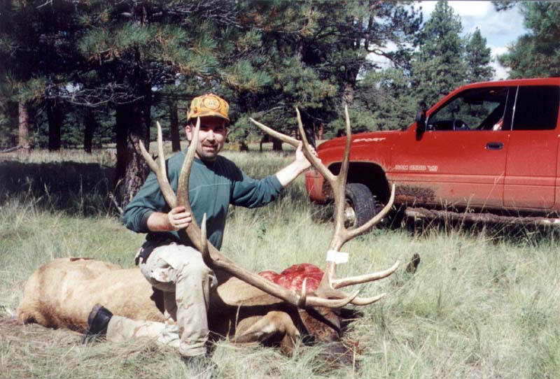 1elk.jpg