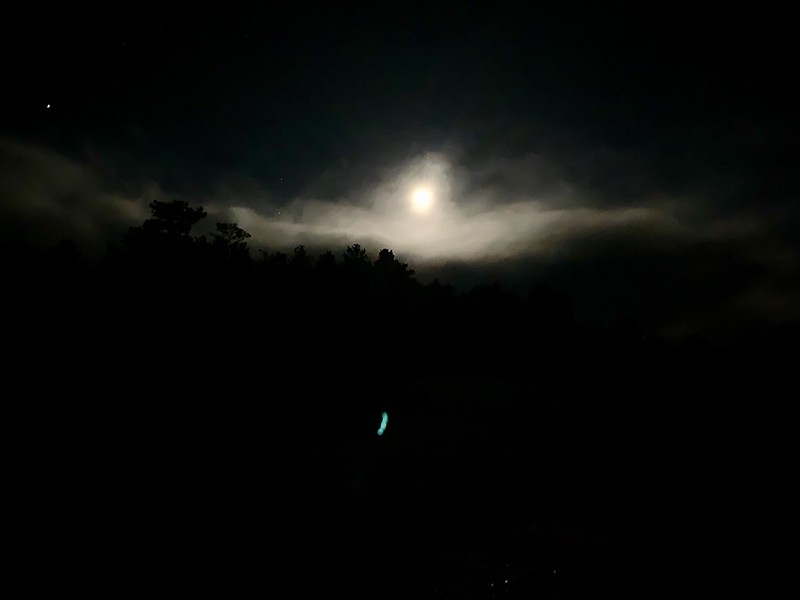 47845689502_1407a409e0_c.jpg