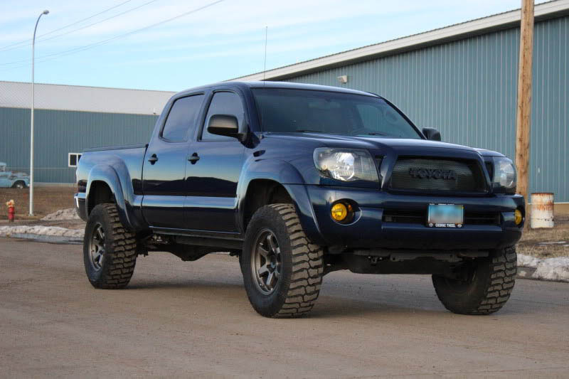 blue_taco_konig_ss.jpg