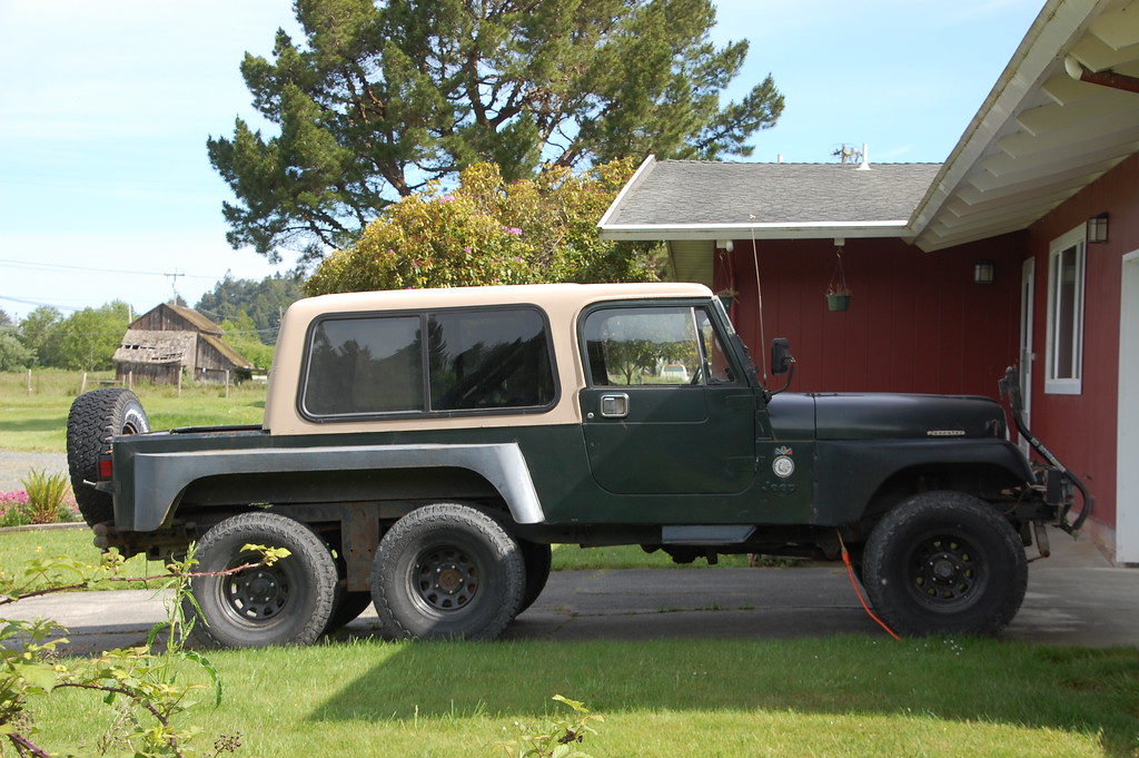 DSC_0005-XL.jpg