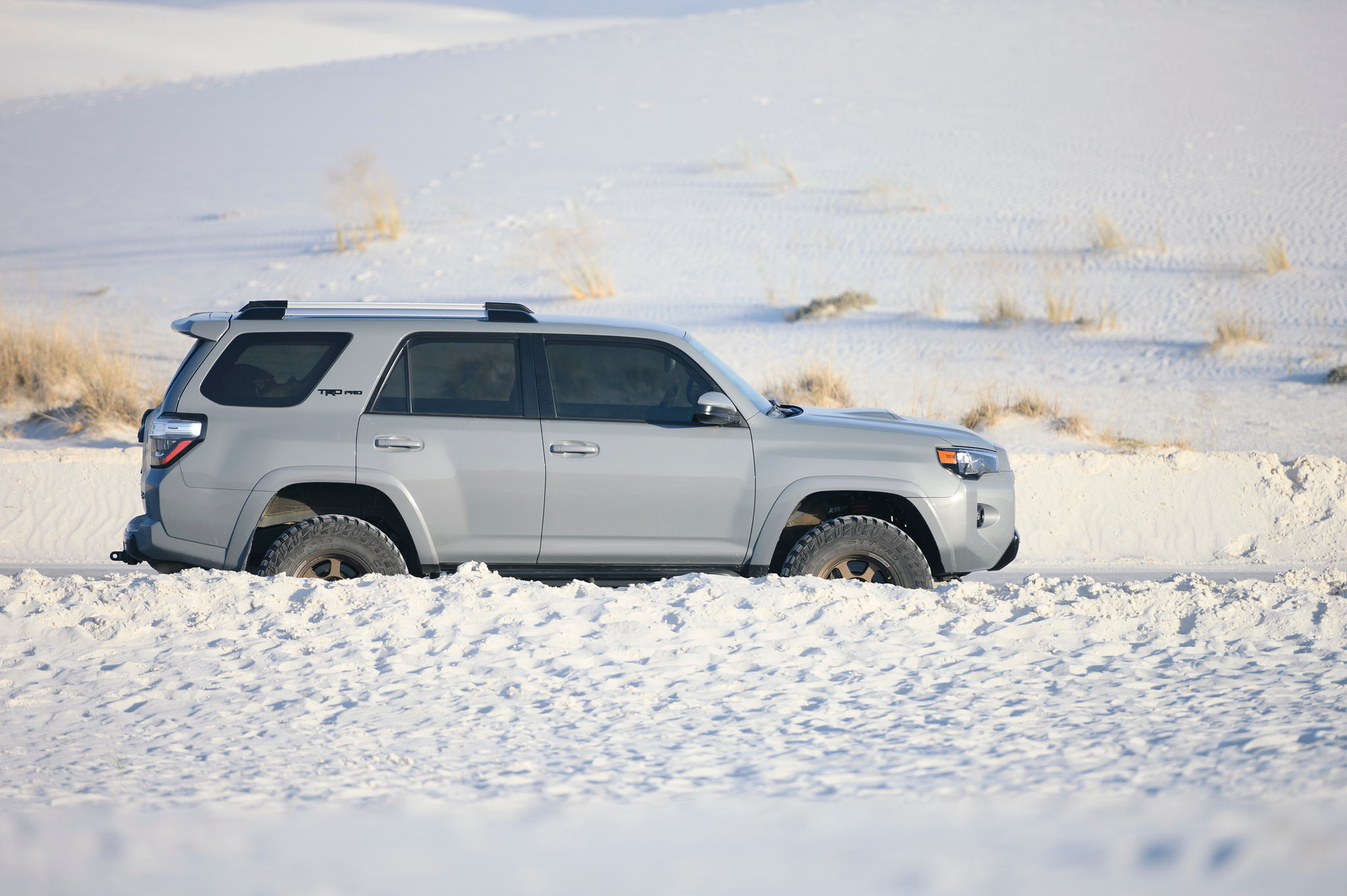 DSC_8843-X4.jpg