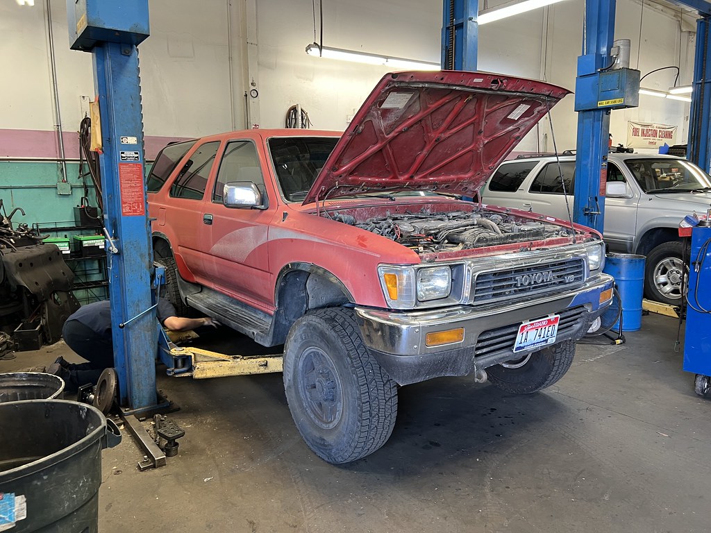 52197332736_fd5c342294_b.jpg
