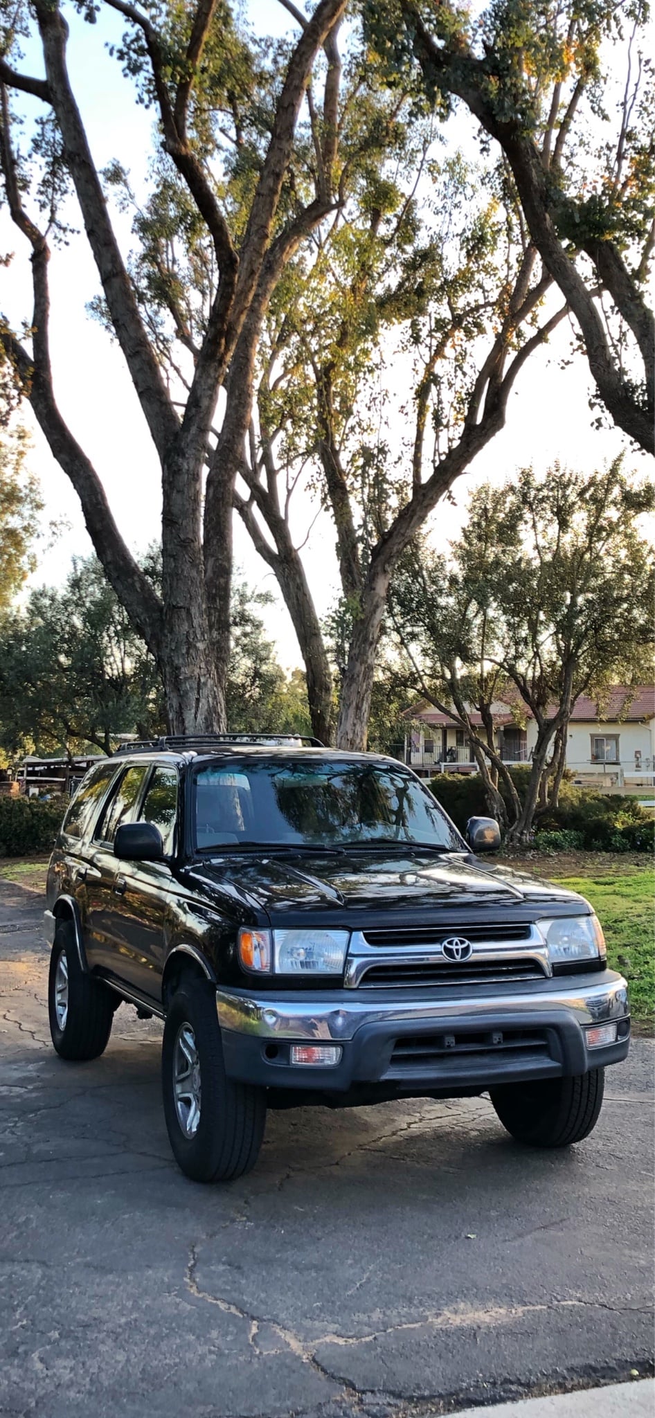 f5ed365e6291852dd680802ca0ec73e8.jpg