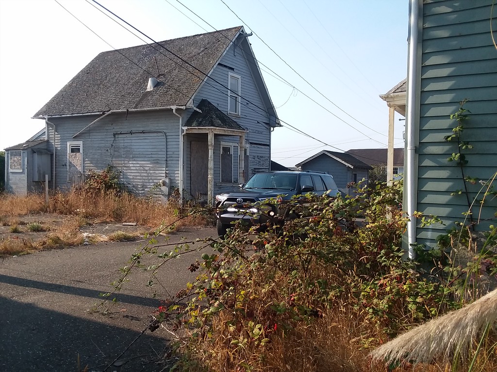 20180904_093431-XL.jpg