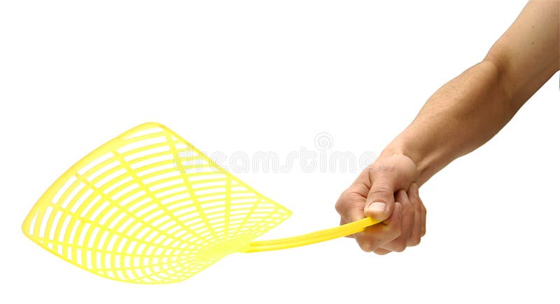 fly-swat-swatter-flyswatter-3774359.jpg