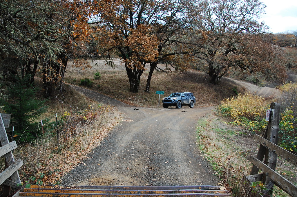 DSC_0771-XL.jpg
