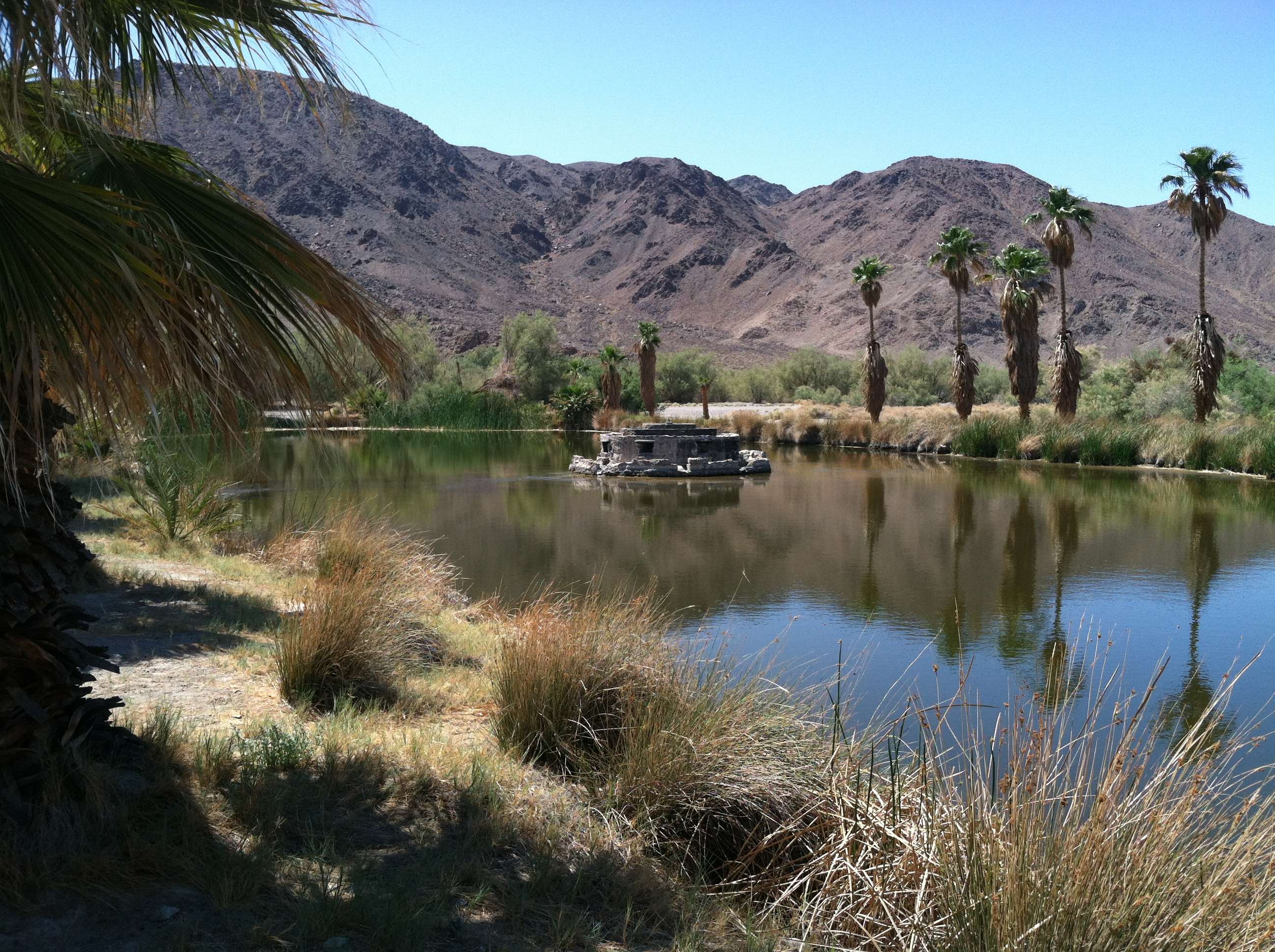 img3292c.jpg
