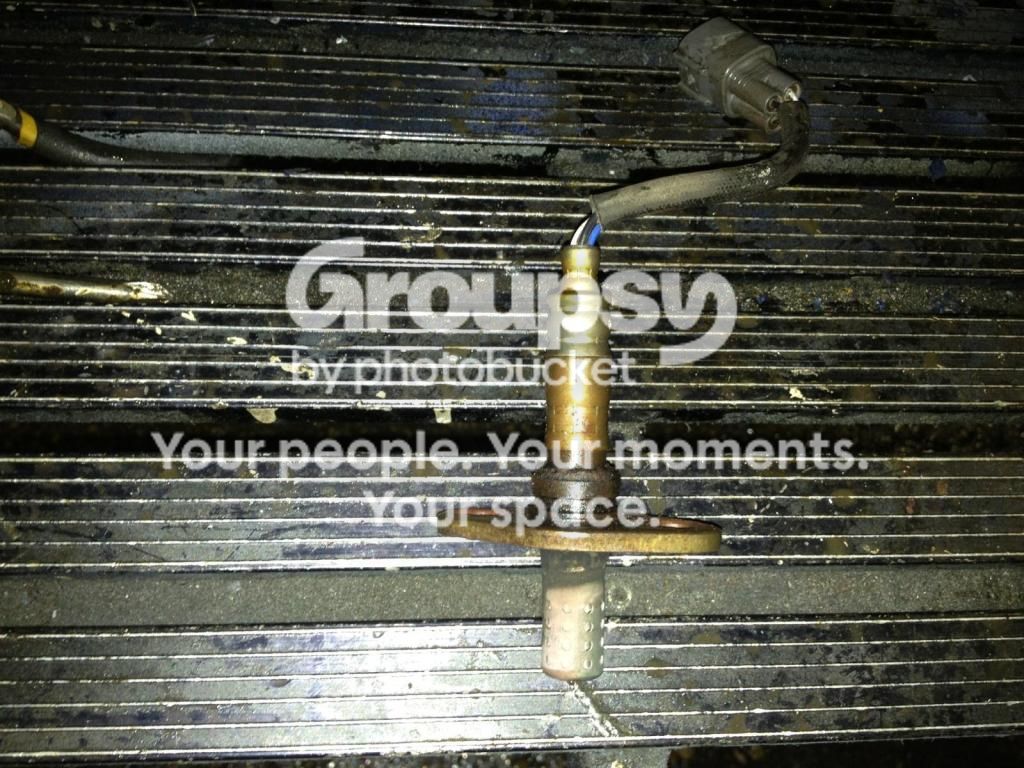 IMG950033_1.jpg~original