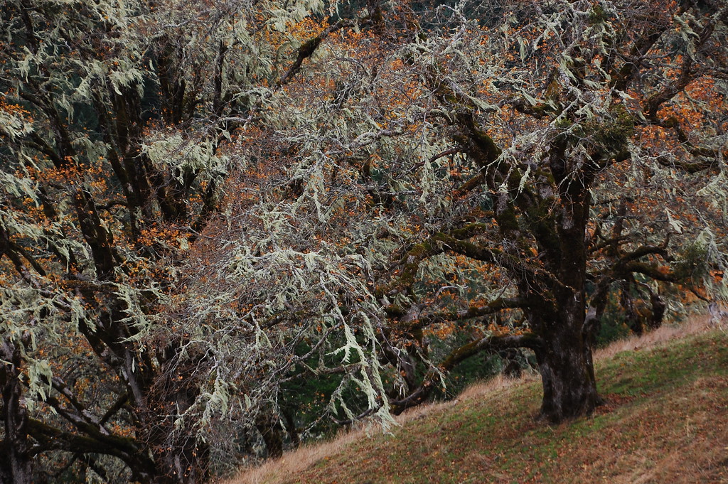 DSC_0641-XL.jpg