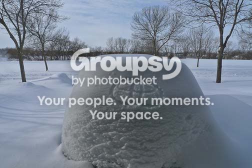 snow.jpg~original