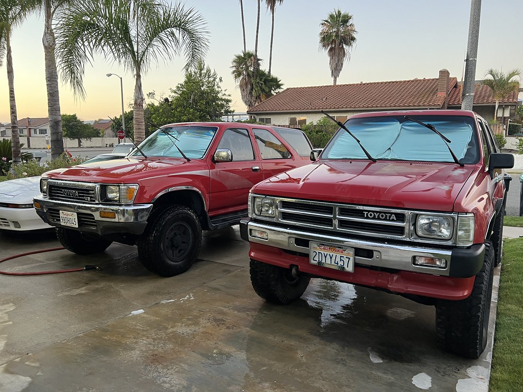 52197336571_e26fe3391d_b.jpg
