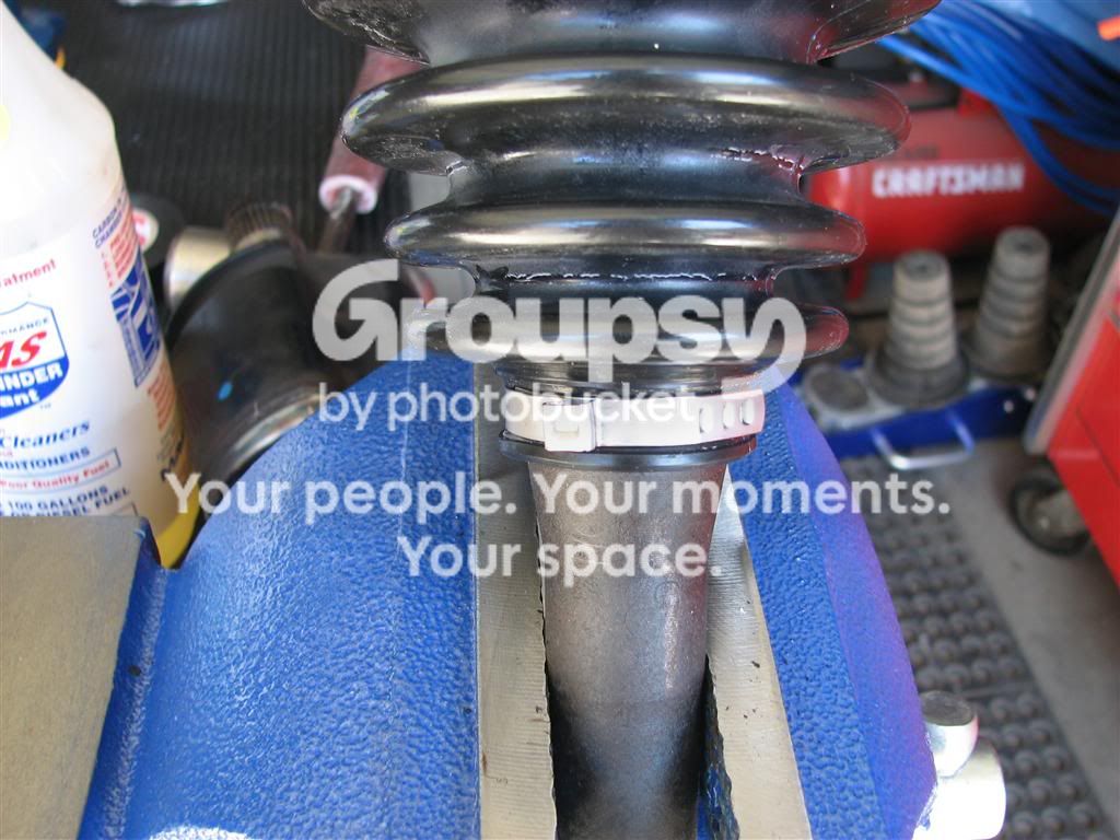 IMG_9306Medium.jpg~original
