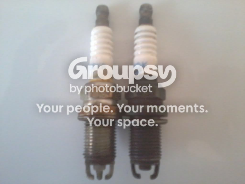 IMG_20120222_143259.jpg~original