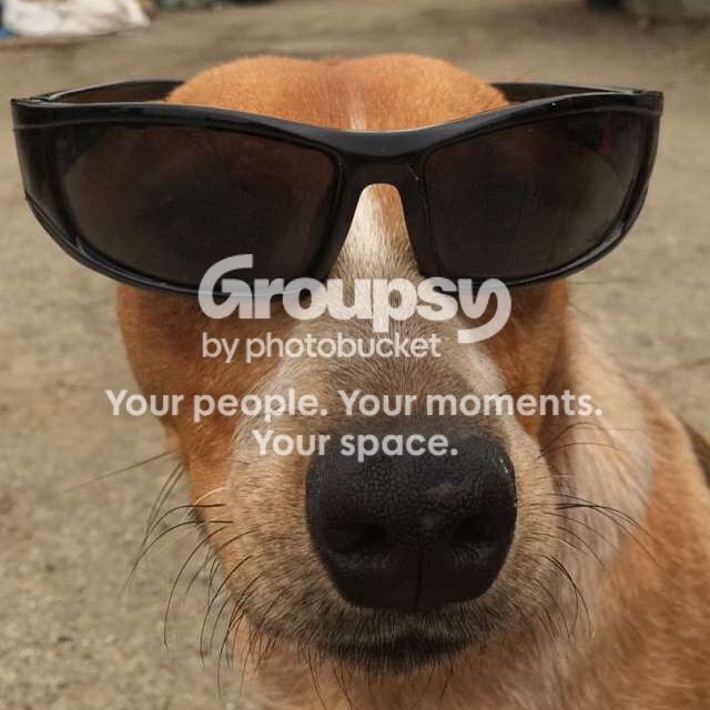 image_zpsjjwivnfc.jpeg~original