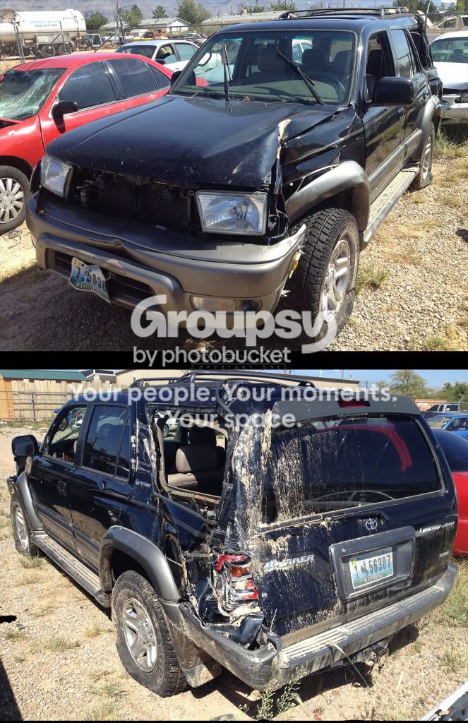 IMG_17454runner.jpg~original